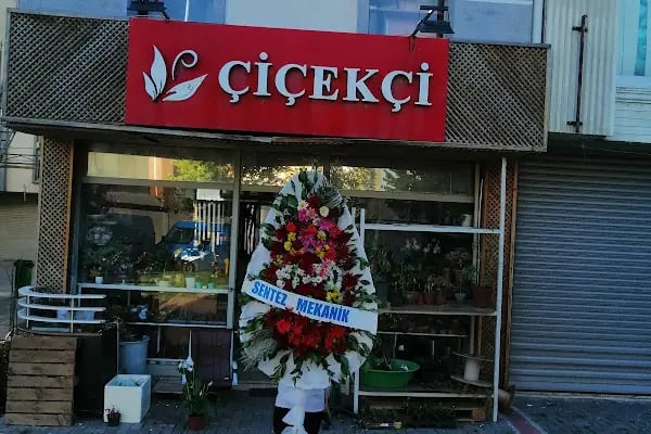 Esenler - Bizim çiçek evi - Resim 14