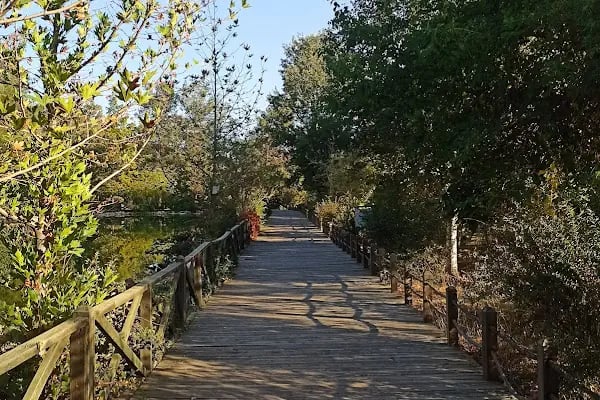 Kapıçam Tabiat Parkı - Resim 3