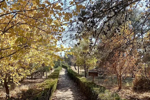 Kapıçam Tabiat Parkı - Resim 9