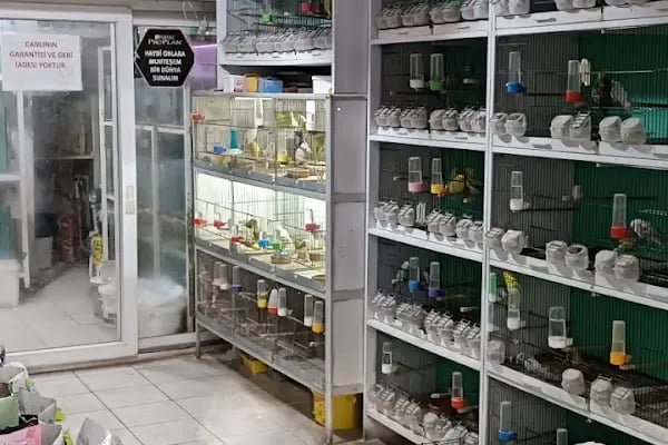 B&amp;B PET SHOP - Resim 6