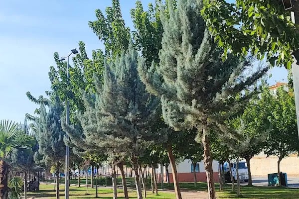 EYYÜBİYE BELEDİYESİ EYYÜP CENAP GÜLPINAR YÜZME HAVUZU - Resim 3