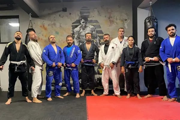 Ronin Akademi - Resim 1