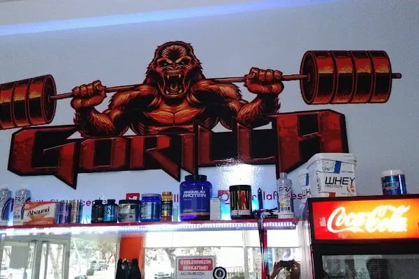 Gorilla Fitness Center - Resim 4