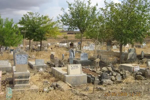 Tepe - Resim 3