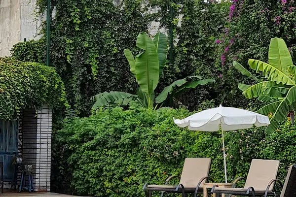 Costa Bodrum City Hotel - Resim 3