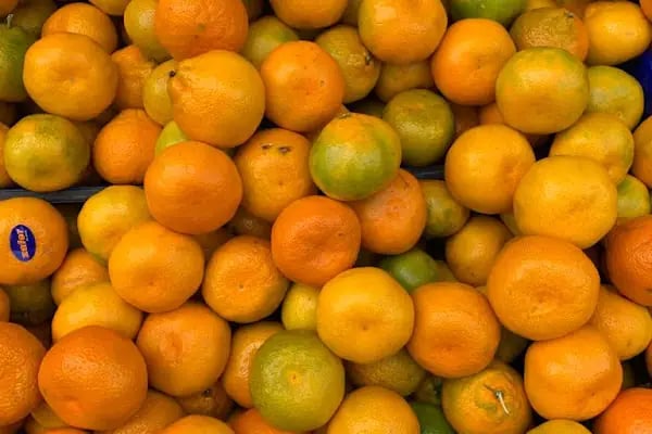 Biçen Market Merter Şube - Resim 19