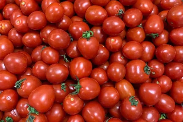 Biçen Market Merter Şube - Resim 9