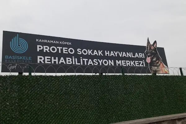 Proteo sokak hayvanları rehabilitasyon merkezi - Resim 1