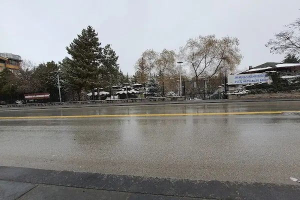Evcil Hayvanlar Parkı - Resim 16