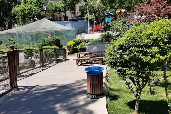 Evcil Hayvanlar Parkı - Resim 14