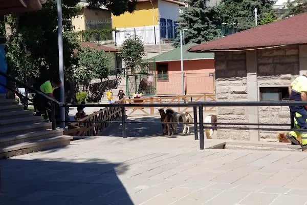 Evcil Hayvanlar Parkı - Resim 10