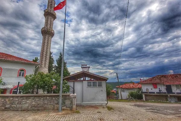 Karaağız Köyü Cami - Resim 2