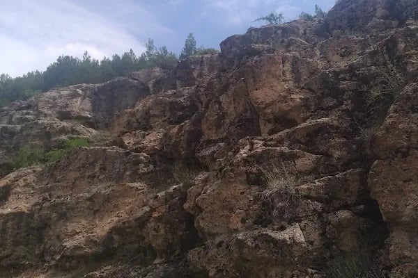Doğan Gürbüztürk Parkı - Resim 18