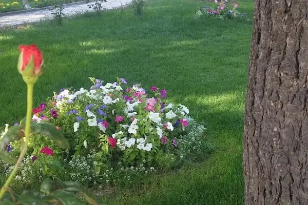 Doğan Gürbüztürk Parkı - Resim 13