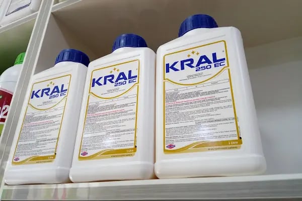Ulus İnci Tarım Haşere Böcek İlaçları Gübre Tohum Zirai Alet Ltd Şti - Resim 20