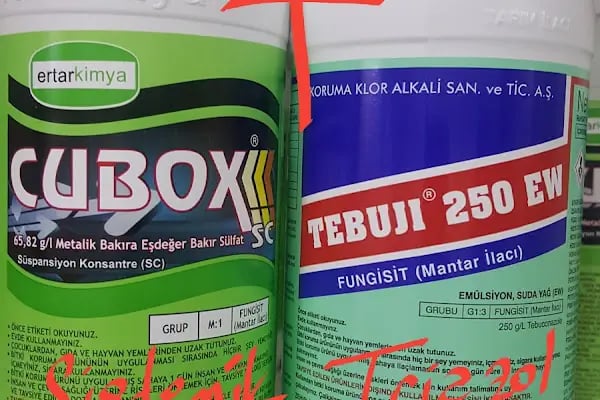 Ulus İnci Tarım Haşere Böcek İlaçları Gübre Tohum Zirai Alet Ltd Şti - Resim 19