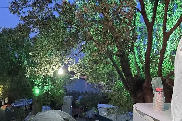 Eser Camping - Resim 6