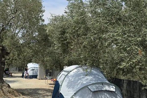 Eser Camping - Resim 11