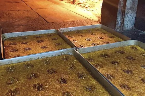 Haşim Usta Kebap - Resim 18
