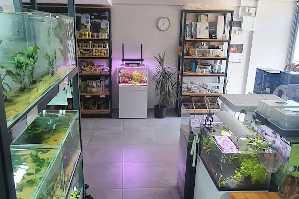 Green Glass | Nature Aquarium - Resim 13