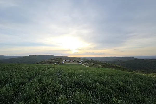 Almalı Doğal Yaşam Çiftliği (ADOYAÇİ CAMPİNG) - Resim 17