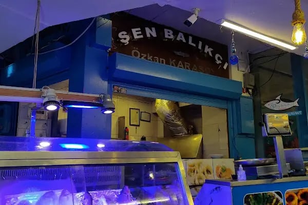 ŞEN BALIKÇI - Resim 9