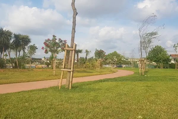 Balyanoz Park Darıca - Resim 14