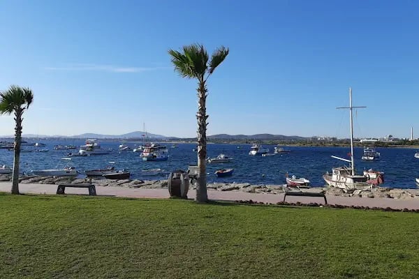 Balyanoz Park Darıca - Resim 17