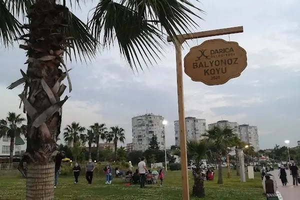 Balyanoz Park Darıca - Resim 5