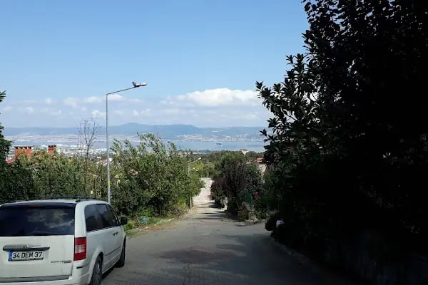 Ayazma Villaları - Resim 19