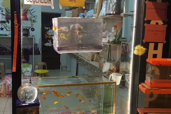 Pars Petshop - Resim 5