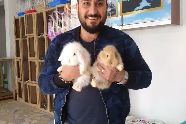 Pars Petshop - Resim 13