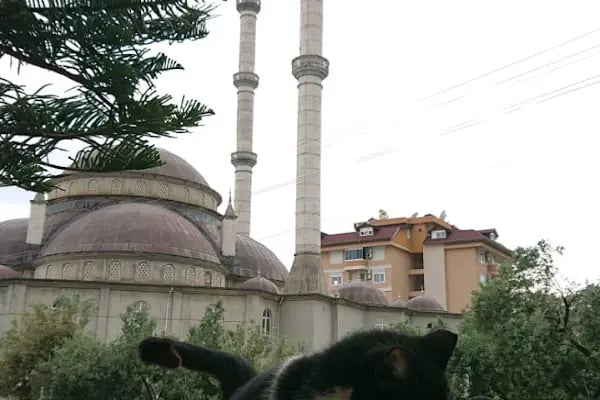 Emine Özmüftüoğlu Cami - Resim 17