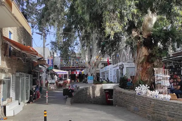 Ziraat Bankası Bodrum/Muğla Şubesi - Resim 12