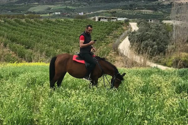 Kürk at binme merkezi Burak yüksel - Resim 2