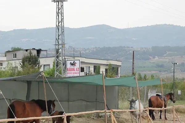 Kürk at binme merkezi Burak yüksel - Resim 18