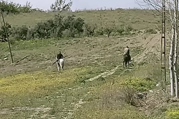 Kürk at binme merkezi Burak yüksel - Resim 13