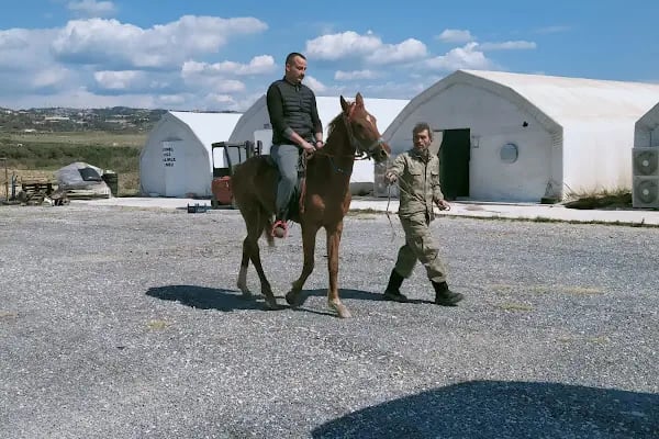 Kürk at binme merkezi Burak yüksel - Resim 14