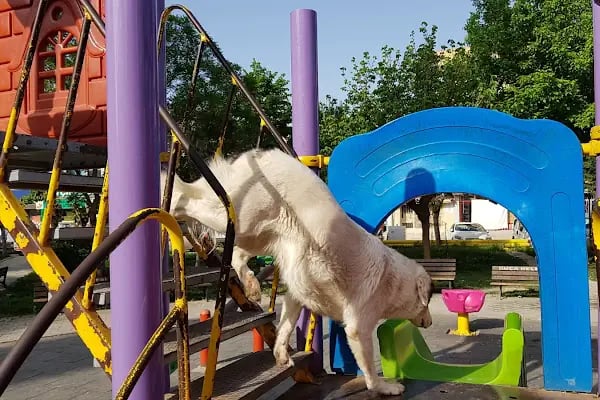 Muharrem Okutucu Parkı - Resim 13