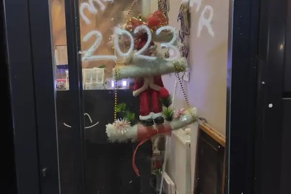 Çevik patiler petshop - Resim 11