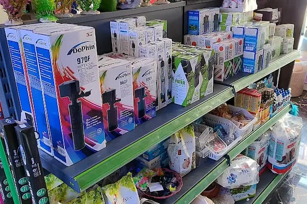 Çevik patiler petshop - Resim 6