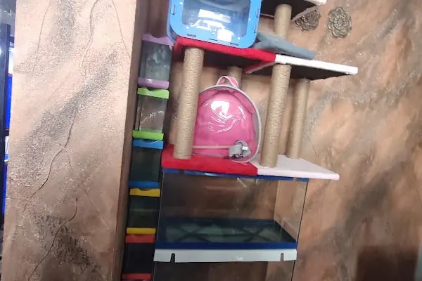 Çevik patiler petshop - Resim 14