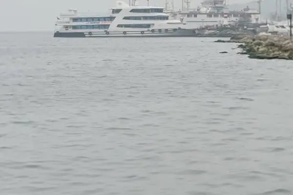 Bayramoğlu Beach - Resim 17