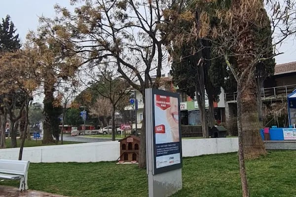 Bayramoğlu Beach - Resim 15