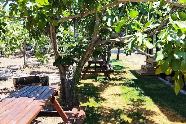 Dikili ZeyTiny House - Resim 16