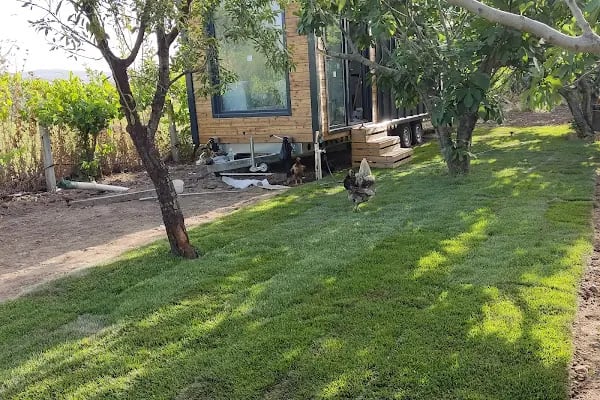 Dikili ZeyTiny House - Resim 7