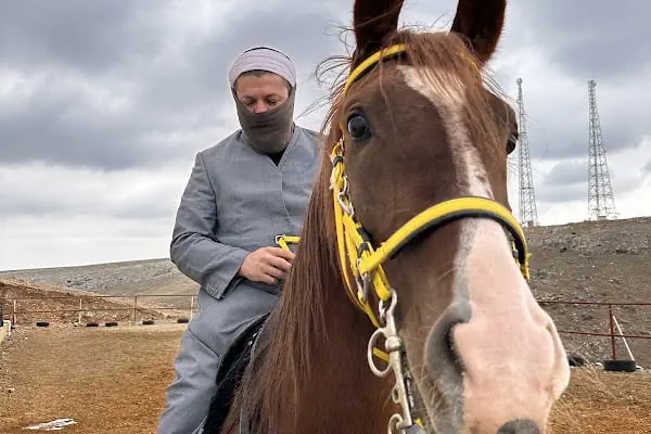 Cihangir binicilik aile tesisi - Resim 12
