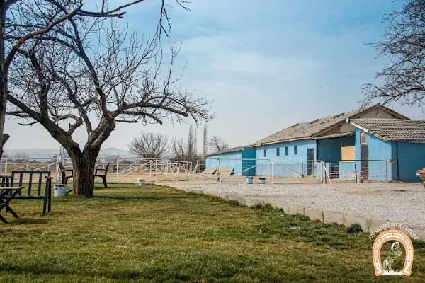 Cihangir binicilik aile tesisi - Resim 3