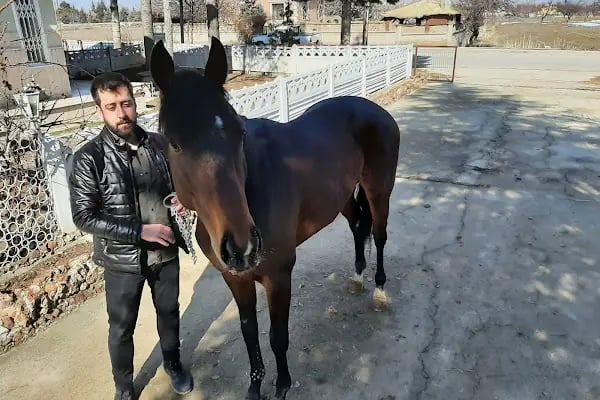 Cihangir binicilik aile tesisi - Resim 18