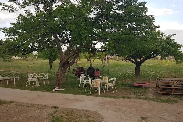 Cihangir binicilik aile tesisi - Resim 6